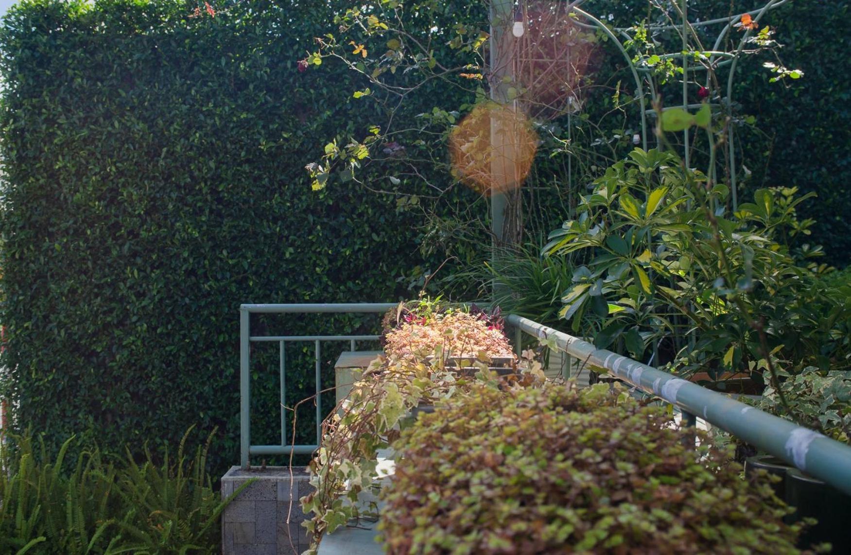 Le Soleil Boutique Hotel Đà Lạt Extérieur photo