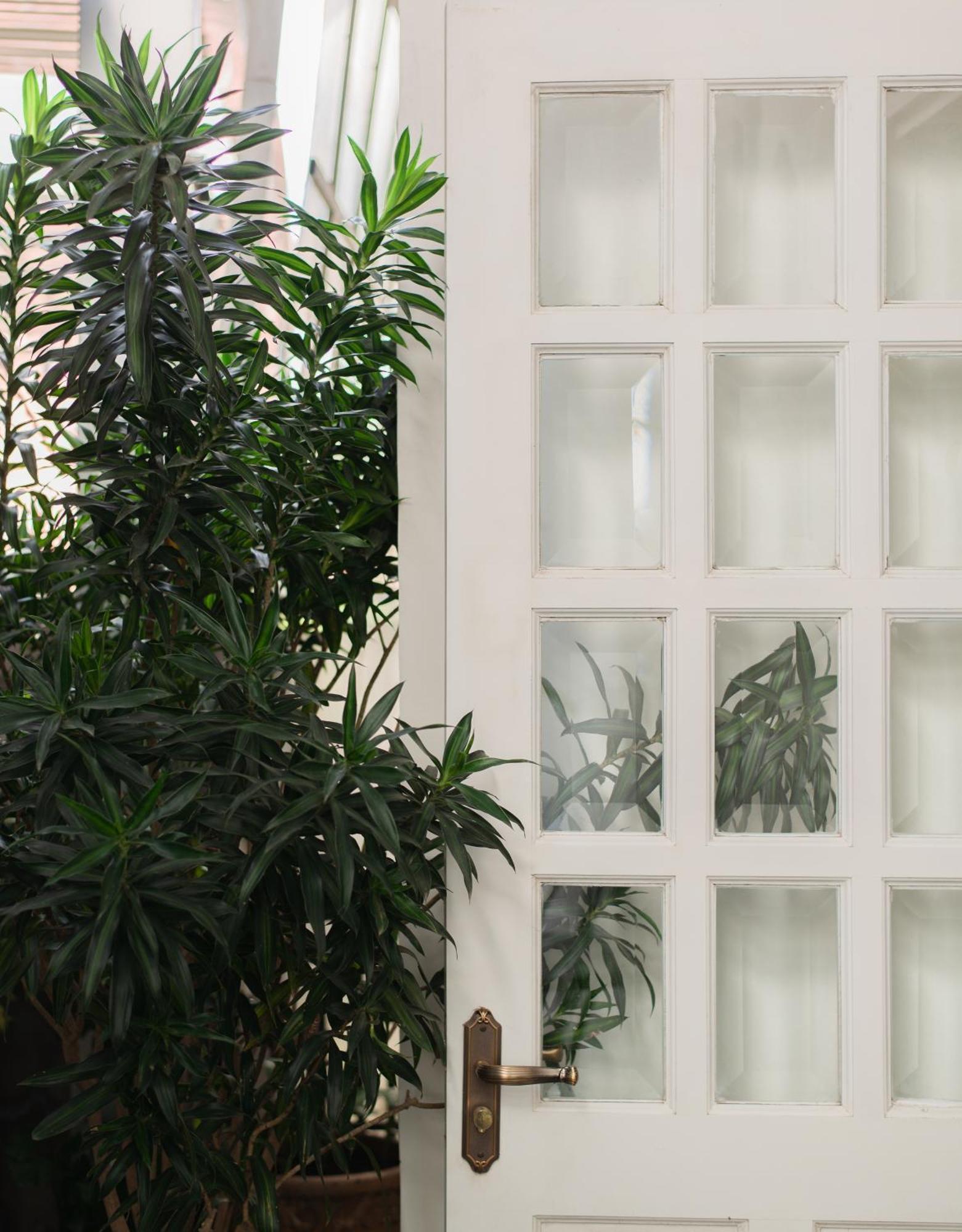 Le Soleil Boutique Hotel Đà Lạt Extérieur photo